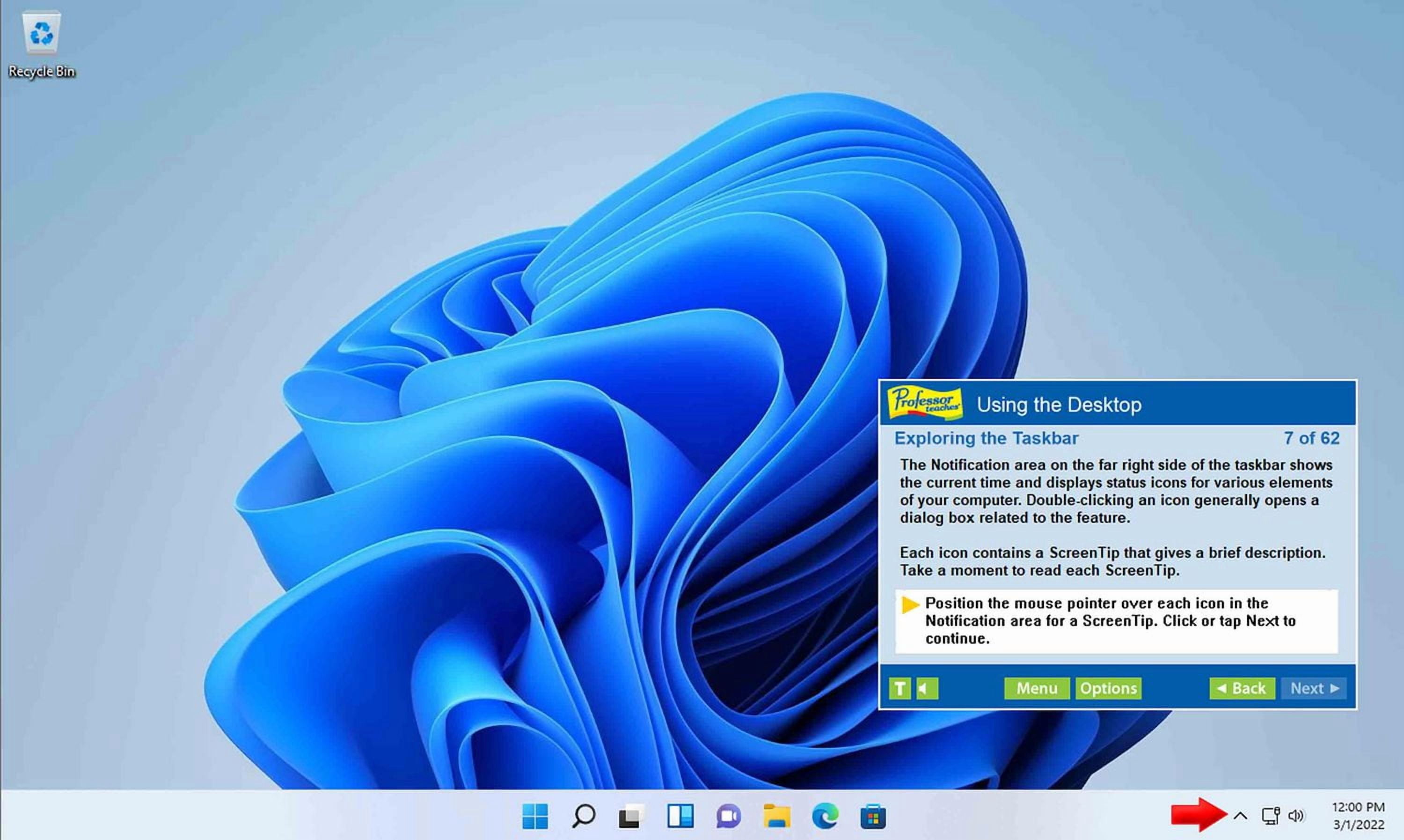 Professor Teaches Office 2021 & Windows 11 with Skill Assessment [Digital Code]