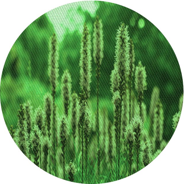 Ahgly Tapis Rond Lavable en Machine Intérieur Transitionnel Vert Émeraude Profond, 8 Pieds Rond