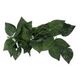 thumbnail image 4 of Hanging Plant False Vine, Simulated Rattan Shape Plastic Fine Workmanship  Shape Climbing Pet Box Green Vine Landscaping  For Decoration For Fish  NFF-80 Fruit Su,NFF-81 Conch, 4 of 8