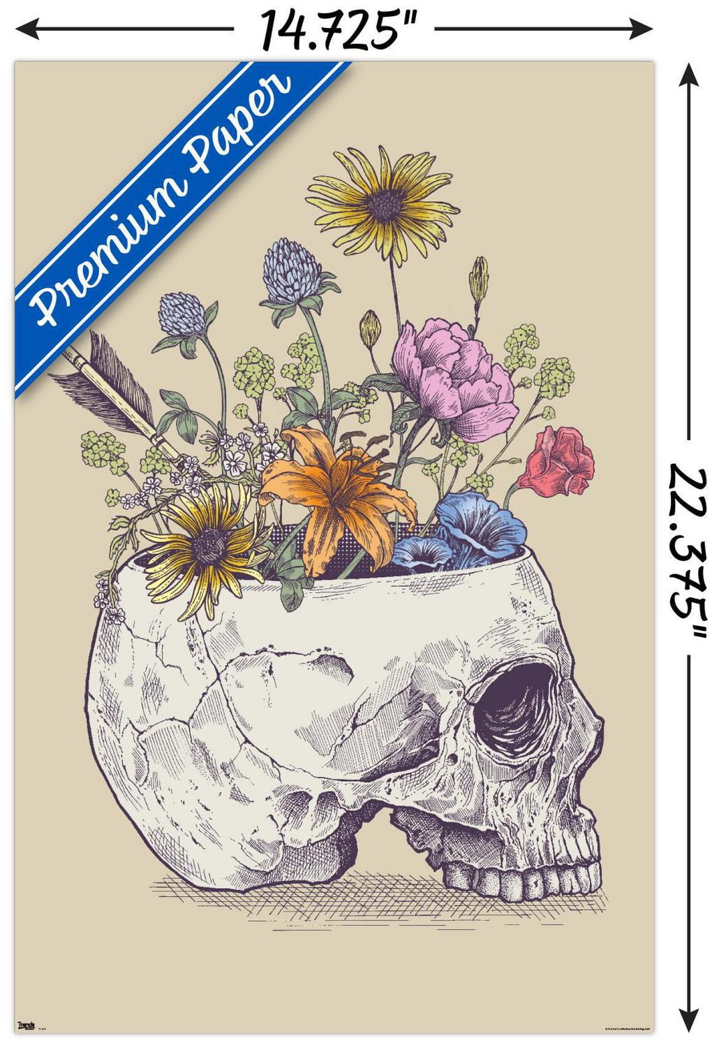 Rachel Caldwell - Flower Skull Wall Poster