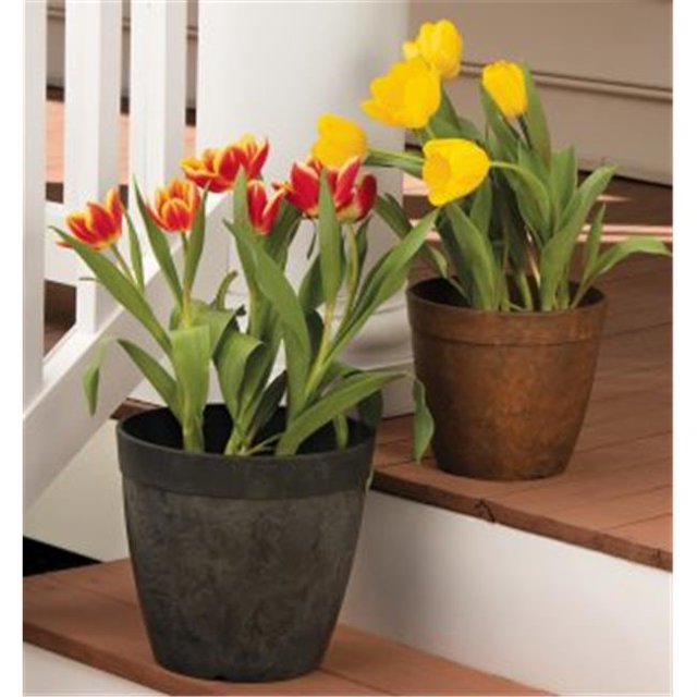 6 in. Round Dolce Planter - Rust