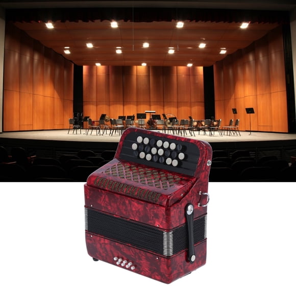 Accordéon Diatonique à 22 Touches, Accordéon à 22 Touches, 8 Basses, Instrument Accordéon Professionnel à Anche avec Boutons pour Débutant avec Sac de Rangement