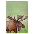thumbnail image 1 of Betsy Drake GT238 Serviette d'Orignal - 20 x 20 Po., 1 of 1