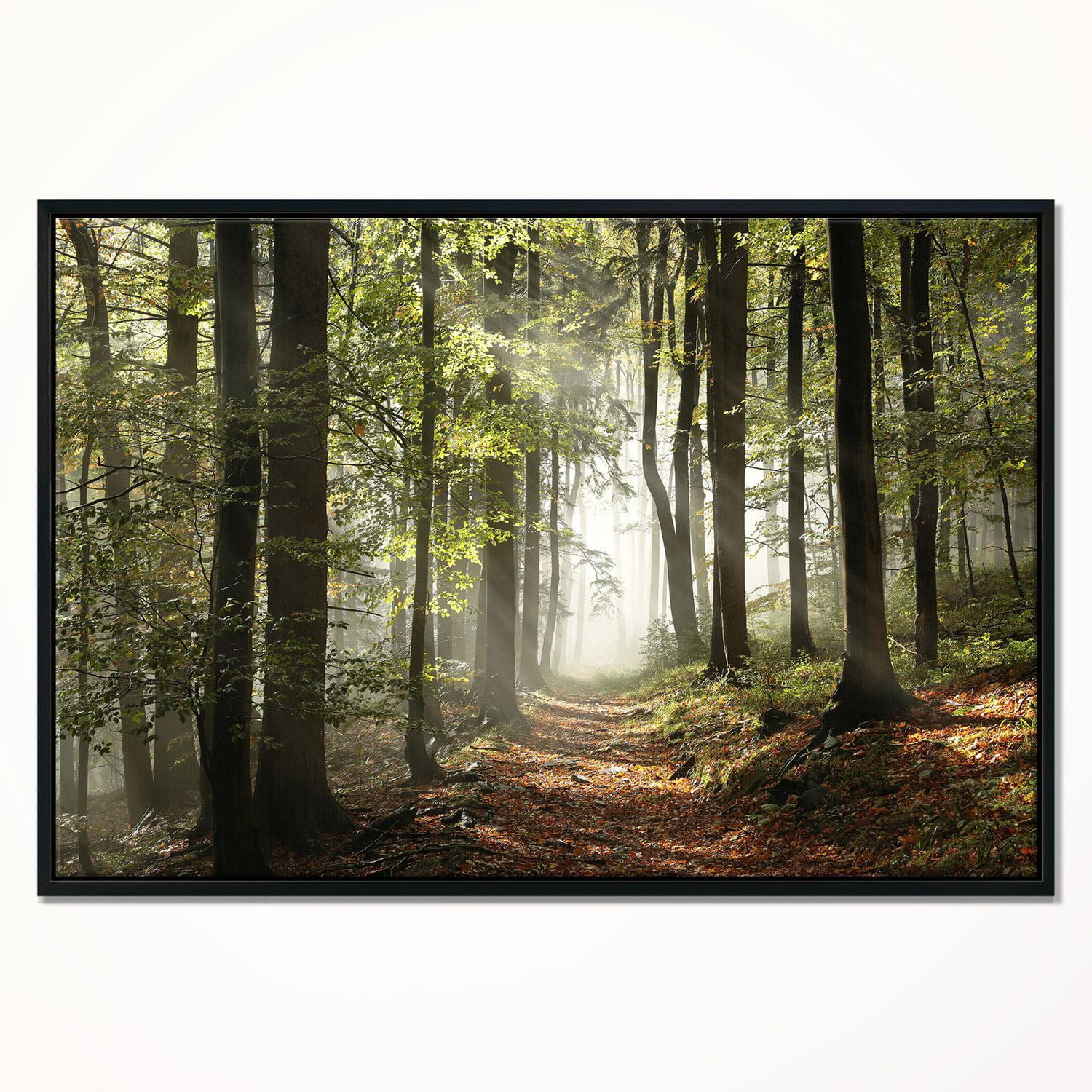 Designart Forêt verte d'automne avec des rayons de soleil ART MURAL À CADRE FLOTTÉ