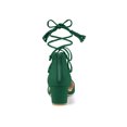 thumbnail image 2 of BLISSFUL STEP Women Pointed Toe Block Heels Lace Up Pumps Emerald Green 8, 2 of 7