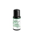 thumbnail image 1 of Peppermint Essential Oil, 1 of 9
