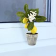 thumbnail image 3 of Fake Tree Fruit Simulation Lemon Bonsai Garden For Home Party Living Room Ornament Plants Potting, 3 of 5