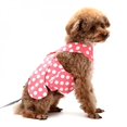 thumbnail image 4 of Adjustable Nylon Dog Harness Breathable Dog Harness For Small Medium Large Dog Rope Walking, 4 of 5