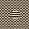 thumbnail image 1 of Ahgly Company Tapis d'Intérieur Lavable en Machine Carré Transitionnel Gris Minuit, 8 Pieds Carré, 1 of 7