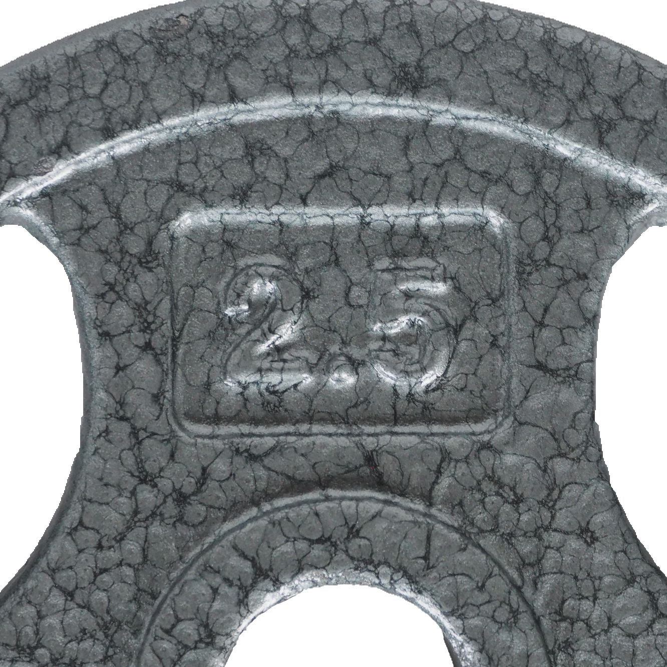 GoZone Grip Weight Plate – Silver