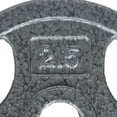 thumbnail image 3 of GoZone Grip Weight Plate – Silver, 3 of 3