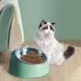 thumbnail image 5 of lionlar Bol pour Chat et Chien Surélevé Incliné Antidérapant Conteneur pour Chien Vert, 5 of 5