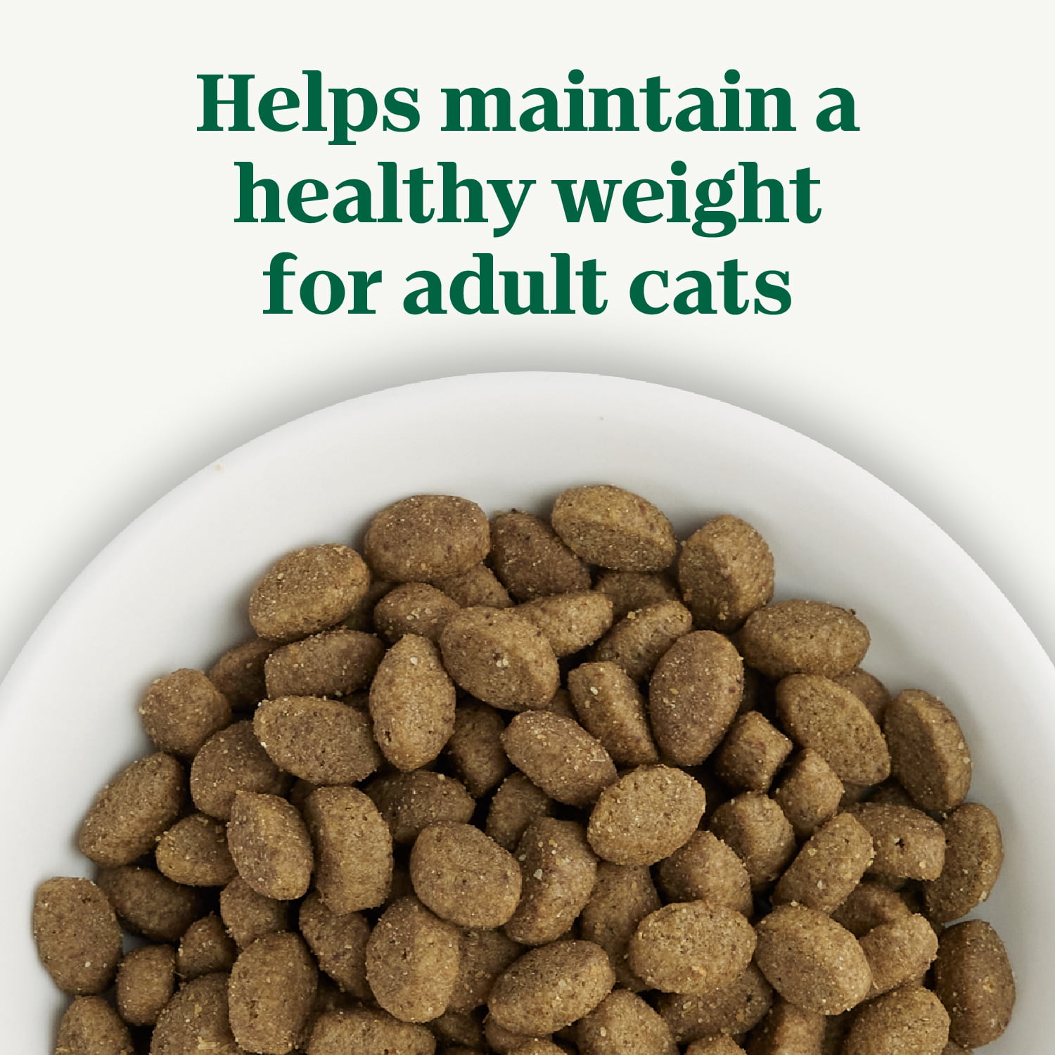 NUTRO Wholesome Essentials Indoor Adult Chicken & Brown Rice Natural Dry Cat Food 6.35kg
