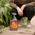 thumbnail image 3 of Insecticide pour fourmis ANT OUT® de Wilson®, 3 of 4