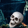 thumbnail image 5 of Yhmxh Halloween Decorations,Party Favors,Halloween Skeletons Plastic Realistic Fake Simulation Human Skull HeadBone Model Halloween Prop Realistic Mini Skeleton Spooky Halloween Decoration, 5 of 5