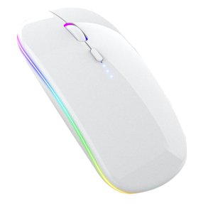 TopLLC Souris sans fil de recharge Bluetooth Mute Mode Portable 2.4G+BT5.2 Souris Sans fil lors de l'enlèvement