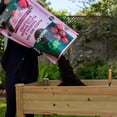 thumbnail image 2 of Miracle-Gro Raised Bed Soil 50L, 2 of 7