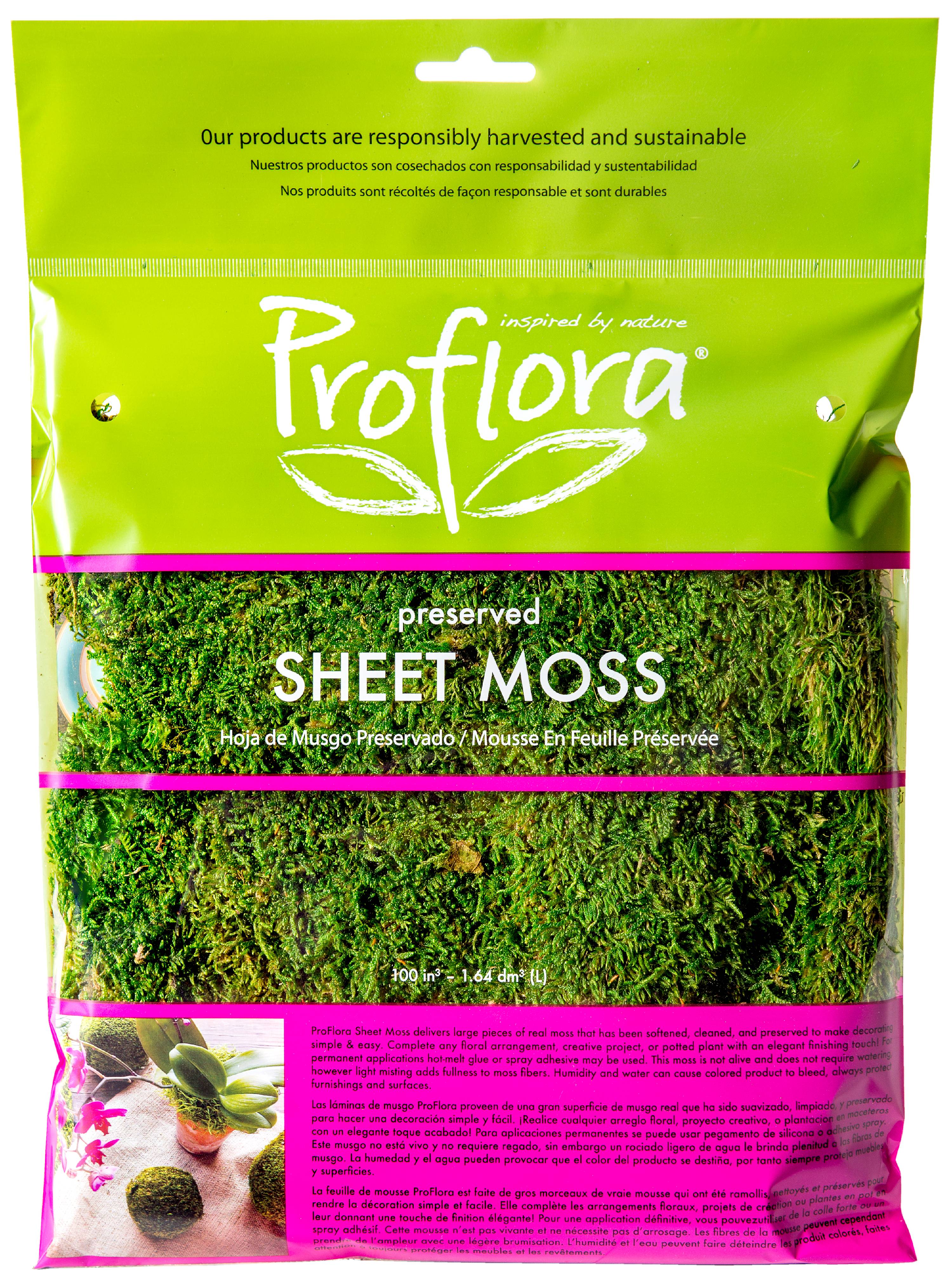 SHEET MOSS 2OZ