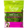 thumbnail image 1 of SHEET MOSS 2OZ, 1 of 3