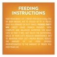 thumbnail image 3 of Friskies Party Mix Cheezy Craze Crunch, Cat Treats 170g, 3 of 9