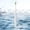 White, variant on LSLJS Electric Toothbrush,, Low Noise, Portable, Smart Timer Electric Toothbrush IPX7 Water Electric Toothbrush Vibration, Home Accessories