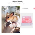 thumbnail image 4 of Acrylic Hamster Maze Toy Pet Labyrinth Toy Small Animals Playground Toy, 4 of 7