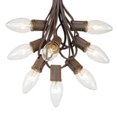 thumbnail image 5 of Novelty Lights 25 Foot C9 Twinkle Outdoor Patio Christmas String Light Set, 5 of 5