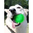thumbnail image 1 of 1pc Squeaky Dog Toy Ball, Pet Molar Toy For Small Dogs, Spike Medium Size, , No Bpa, Suitable For Both Large And Small Breeds, 1 of 5