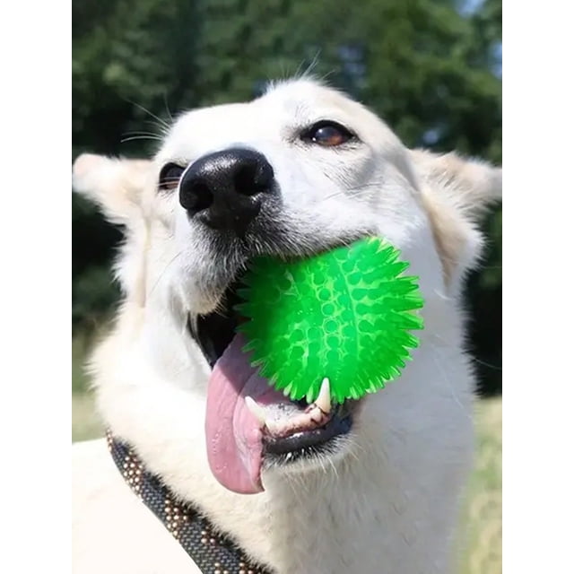 1pc Squeaky Dog Toy Ball, Pet Molar Toy For Small Dogs, Spike Medium Size, , No Bpa, Suitable For Both Large And Small Breeds