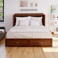thumbnail image 3 of AFI Hamilton Queen Solid Wood Murphy Bed Chest with Mattress in Walnut, 3 of 20
