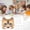 H, variante sur Kit de Masque Facial pour Chats DIY, Ensemble d'Artisanat d'Halloween Personnalisable EDHITNR, Masque en Maille Plastique en Faux Tissu Vierge pour Fêtes Costumées Cosplay