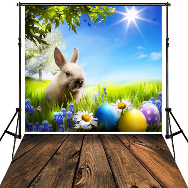 Coofit Photographie Fond Mignon Oeuf Coloré Photo Toile de Fond Studio Accessoire pour Pâques