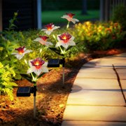 SSZMDLB Solar Garden Lights, Solar Powered Daffodil Stake Lights, Waterproof Outdoor Landscape Lighting for Courtyard Lawns Patio Decor, Solar Yard Lights, Solar Powered LED Lights