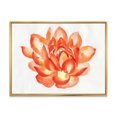 thumbnail image 1 of Designart Détail Vintage d'un Lotus Orange ART MURAL À CADRE FLOTTÉ, 1 of 4