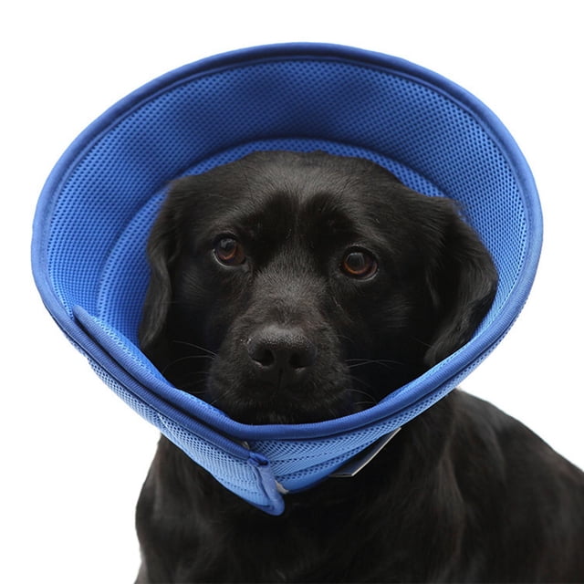 Cone Collar Protective Wound Protective Cone Prevent Biting XL 47-53cm in blue, designed for pet recovery to prevent biting, licking, or scratching wounds. Features soft breathable material, adjustable strap for neck girth customization, and waterproof fabric for easy cleaning.