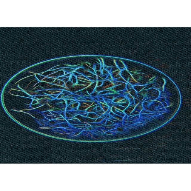 Ahgly Company Machine Washable Indoor Rectangle Transitional Teal Green Area Rugs, 8' x 12'
