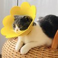 thumbnail image 3 of Sunflower Recovery Collar Cute Pet Protective Collar Cat Collar for Kittens, 3 of 10