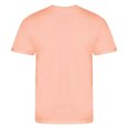 thumbnail image 2 of Awdis T-Shirt Homme Cascade Ecologie Biologique, 2 of 2