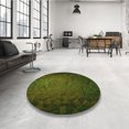 thumbnail image 4 of Ahgly Tapis Rectangulaire Lavable en Machine Intérieur Transitionnel Vert Forêt Foncé, 2 Pieds x 3 Pieds, 4 of 7