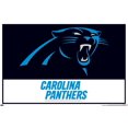 thumbnail image 1 of NFL Carolina Panthers - Logo 21 Wall Poster, 22.375" x 34", 1 of 4