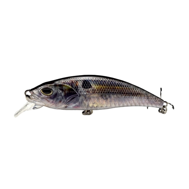 TIELUTT Swimming 3D Swimming Reusable Fishing Baitcaster Reels Left Handed Baitcaster Reels Baitcaster Rod and Reel Combo Baitcaster Rod and Reel Combo Right Handed compatible with Mach 2 Baitcaster C
