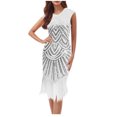 thumbnail image 1 of FcBaudy Robe Sans Manches à Épaules Dénudées, Robes d'Été pour Femmes, Robe à Col Rond Sans Manches à Paillettes avec Franges pour le Printemps et l'Été, Robe de Fête, Robe de Banquet, Robe de Danse, Robe Mini pour Femmes, 1 of 6