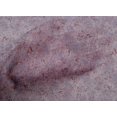 thumbnail image 5 of oneOone Cotton Poplin Wine Fabric Texture Sewing Craft Projects Fabric Prints By Yard 42 Inch Wide, 5 of 5