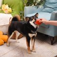 thumbnail image 3 of Hugsmart Ham Dog Ball Toy, 3 of 9