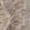 Beige, variante sur UNIQUE Lace Seam Binding Nylon 18 mm (0.71 in) × 2.75 m (0.71 in × 3.01 yd), blanc