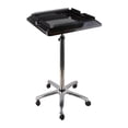 thumbnail image 1 of Yinanstore Chariot de Plateau de Salon de Coiffure Polyvalent à Roulettes pour Coiffeur, Hauteur Réglable, Outil de Coiffure Mobile, Chariot Utilitaire de Salon de Rangement, Non, 1 of 8