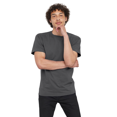 thumbnail image 1 of Hanes T-Shirt en Coton à Manches Courtes pour Hommes, G, Gris Fumée, 1 of 1
