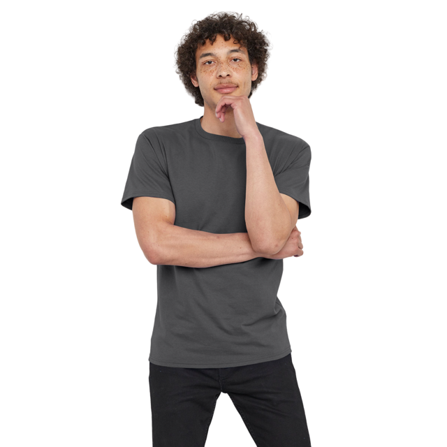 Hanes T-Shirt en Coton à Manches Courtes pour Hommes, G, Gris Fumée