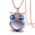 thumbnail image 2 of EGNMCR Colliers et Pendentifs Femmes Hibou Pendentif en Strass Collier Long Collier Collier, 2 of 2