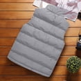 thumbnail image 4 of Pisexur Gilet Matelassé pour Homme, Extérieur, Décontracté, Col Montant, Veste Rembourrée, Manteau, Gilet, 4 of 6